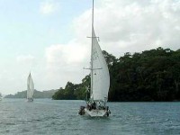 Les alizés : définition et caractéristiques