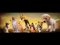 Les animaux de compagnie sont ils bénéfiques pour notre santé ?