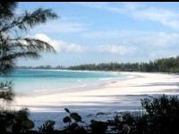 Les Bahamas : une destination de rêve