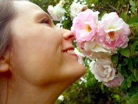 Les bienfaits de la rose pour la peau : guide pratique