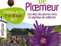 Les Botaniques de Ploemeur : plantes rares et végétaux de collection