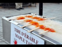 Les cabanes à sucre : Quand convivialité et dégustation ne font qu’un