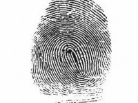 Les empreintes digitales : guide pratique