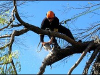 Les entreprises d'insertion : un tremplin vers l'emploi