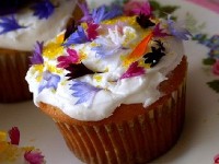 Les fleurs comestibles : présentation et utilisation