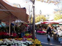 Les fleurs de Nice : une longue tradition
