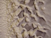 Les fluides non newtoniens