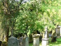 Les funérailles écolo : un phénomène en vogue