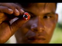 Les gardiens de l'Amazonie : une exposition à la Galerie W