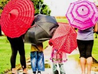 Les giboulées : définition et causes du phénomène