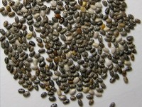 Les graines de chia : un aliment riche en fibres