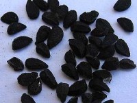 Les graines de nigelle : présentation et propriétés