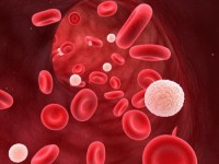 Les groupes sanguins : Junior et Langereis découverts