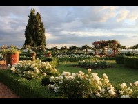 Les jardins ou l'art de l'éphémère : une exposition de Georges Lévêque