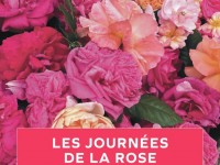 Les Journées de la rose : un salon floral à l'Abbaye de Chaalis dans l'Oise