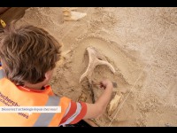 Les Journées Nationales de l'Archéologie : retour vers le passé