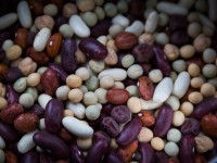 Les légumineuses : une mine de bienfaits