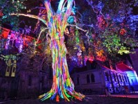 Les lumières de la liberté : un spectacle nocturne gratuit à Bayeux