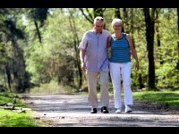 Les maladies cardiovasculaires : présentation et prévention