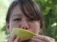 Les maladies inflammatoires : nouveau mal du siècle ?