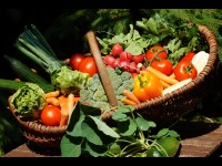 Les meilleurs vitamines et minéraux pour les femmes