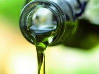 Les moulins à huile des Alpes-Maritimes vous ouvrent leurs portes