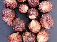 Les noix de lavage : présentation et utilisation