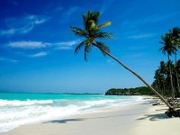 Les paradis fiscaux : présentation et enjeux