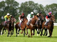 Les paris en ligne : une nouvelle réglementation