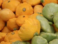 Les pâtissons farcis : une recette facile