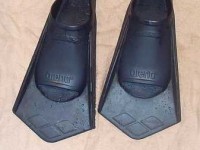 Les petites palmes : un peu d'effort, beaucoup d'effets