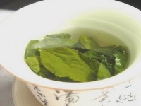 Les plantes bonnes pour la peau : guide pratique