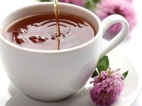 Les plantes médicinales : mode d'emploi