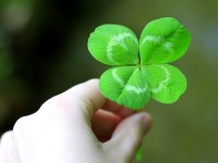 Les plantes porte-bonheur : quelques idées de cadeaux