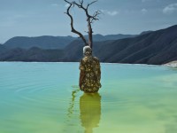 Les Rencontres d'Arles : l'événement estival de la photographie