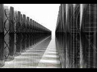 Les scientifiques polonais créent un nouveau type d'os artificiel