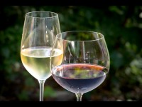 Les sulfites en 5 questions