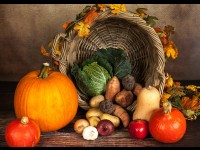 Les supers aliments d'automne, conseillés par les nutritionnistes