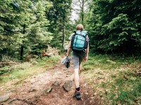 Les tiques : risques et prévention des maladies