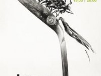 Les Transphotographiques de Lille : une référence internationale