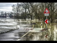 Les villes sont en retard dans l'évaluation de leur risque climatique