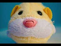 Les Zhu Zhu Pets : les jouets hamsters dont les enfants raffolent