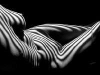 Lucien Clergue, Langage du corps : une exposition à Nice