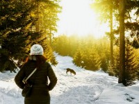 Luminothérapie : 5 astuces pour profiter de la lumière naturelle en hiver