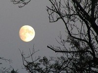 Lune et santé : y a-t-il une réelle influence ?