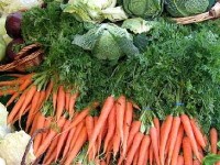 Manger plus de légumes : conseils et astuces
