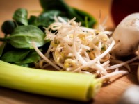 Manger selon les saisons : quels aliments pour l'automne ?