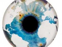 Marc Quinn, The littoral zone : une exposition à Monaco