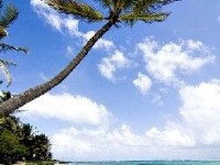 Marie-Galante : une île idyllique et authentique