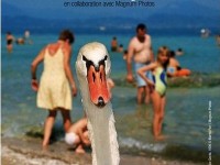 Martin Parr expose au Palais Lumière à Evian